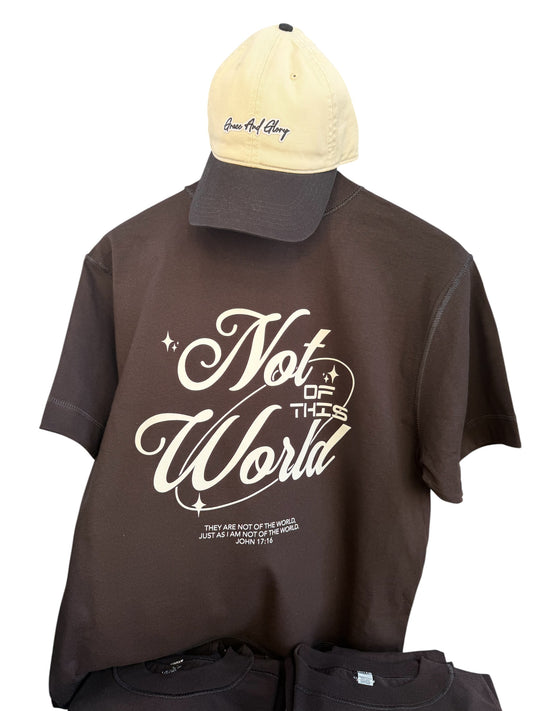 Not of This World Premium Heavyweight Tee