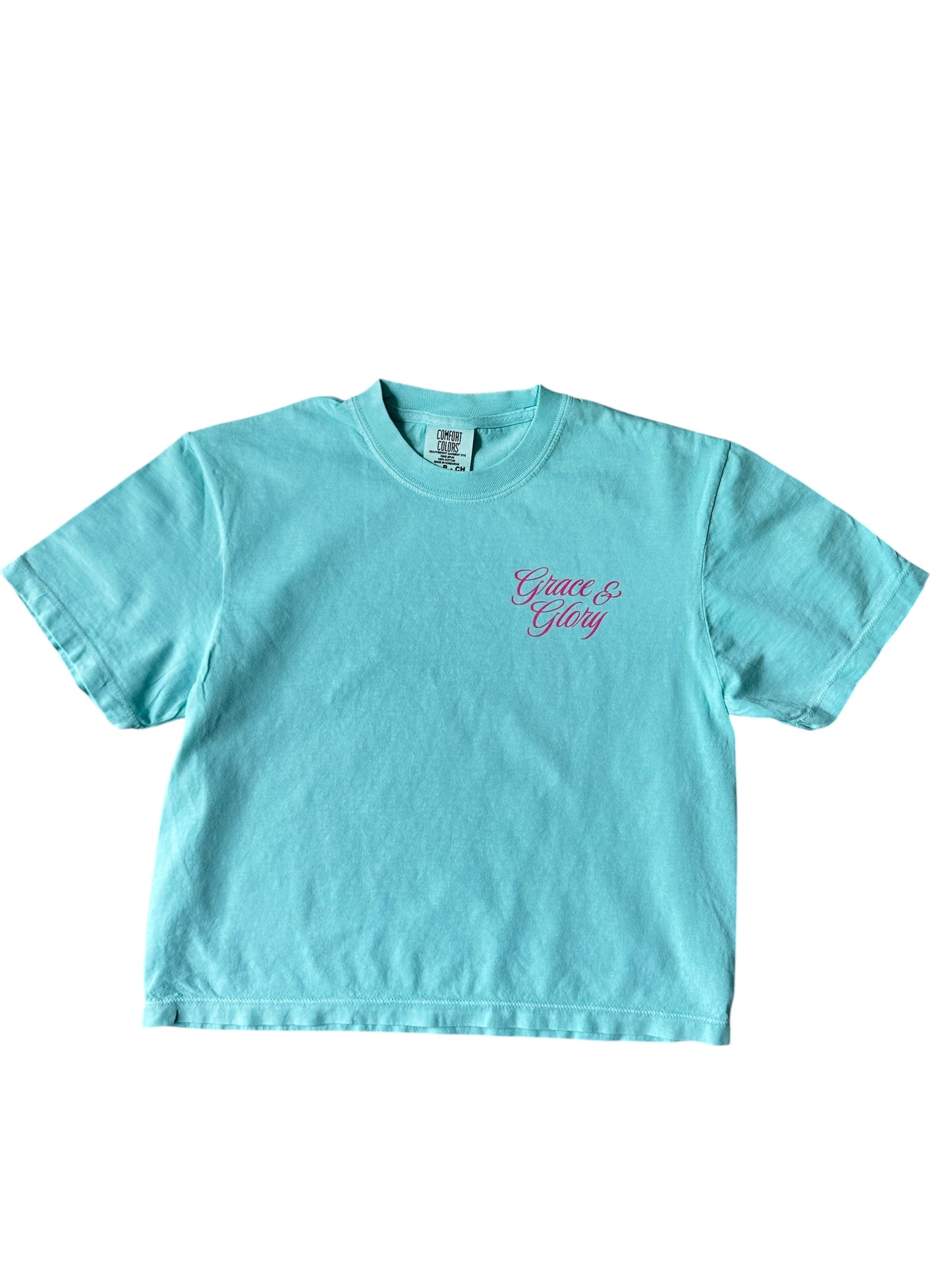 Psalm 84 Mint Cropped Tee